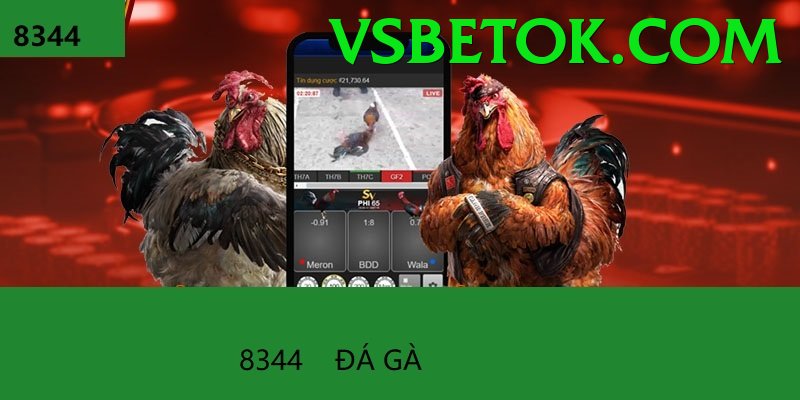 Đá Gà Trực Tiếp - vsbet - Link tải