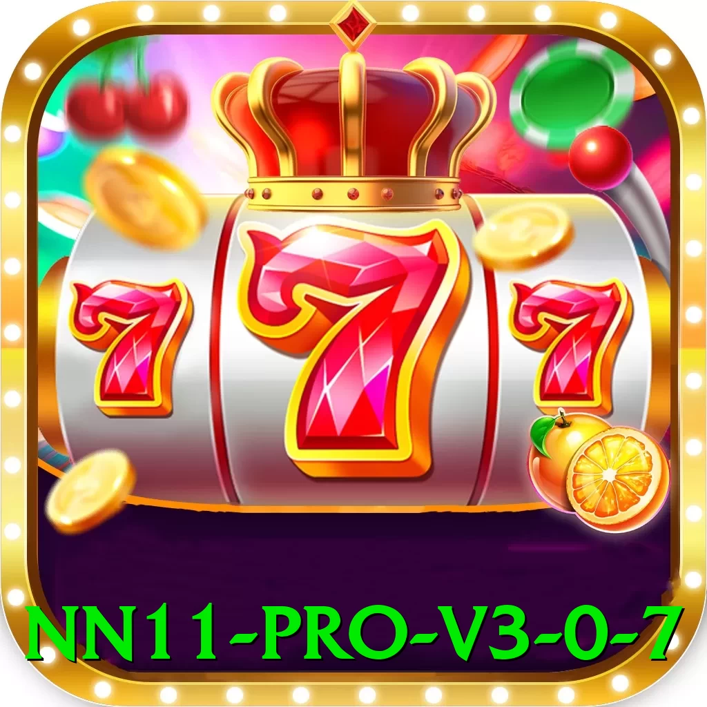 nn11 - Pro v3.0.7 - vip